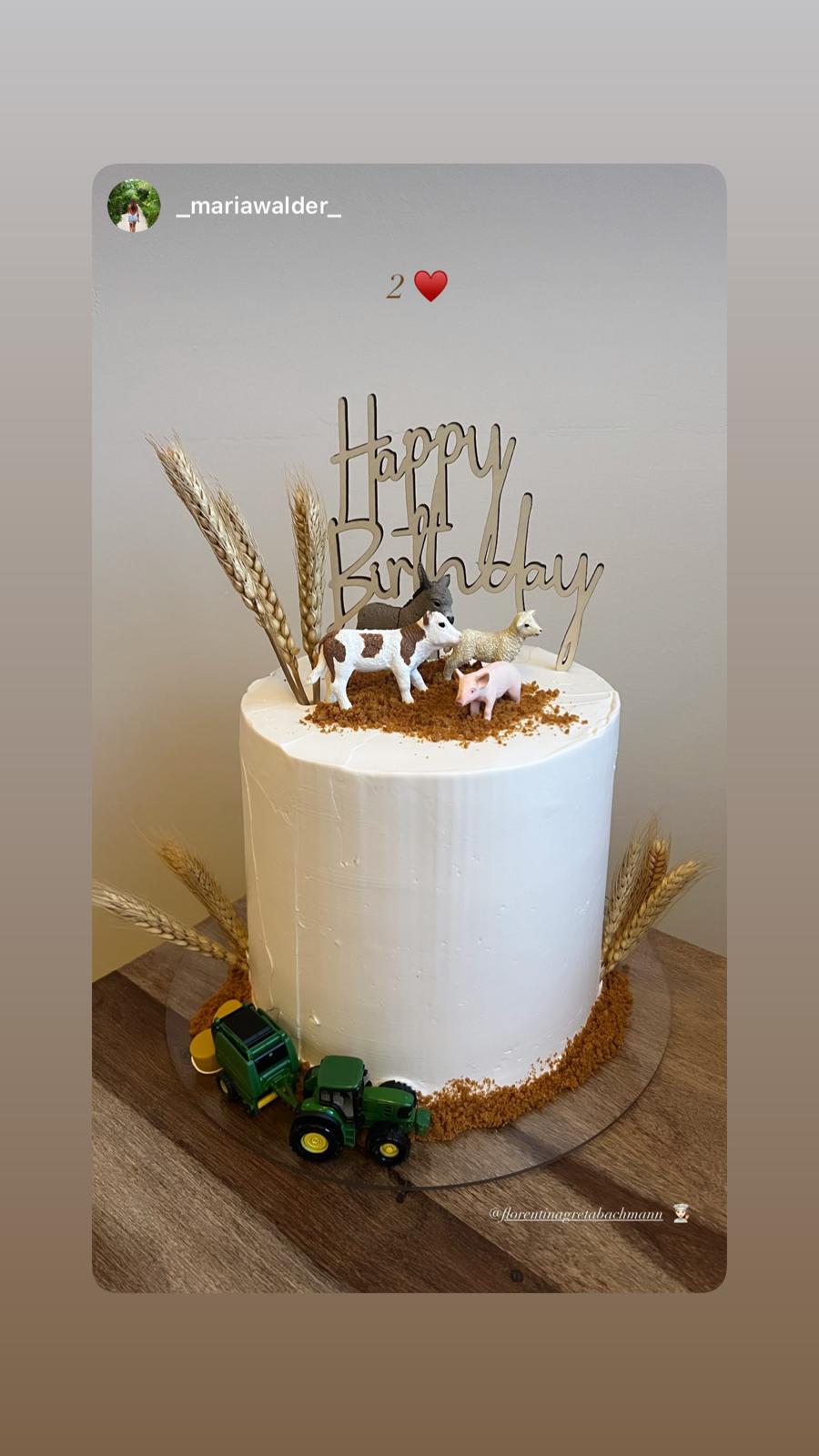 Bauernhof-Torte